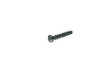 Fastenal Screw repalces Briggs 691138, Zinc Briggs & Stratton Engine Parts (BS-691138-A)