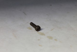 BRIGGS SCREW, MACHINE FILL 90746 Briggs & Stratton Engine Parts (BS-90746)