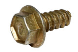 SCREW may be bright plate or gold tone Briggs & Stratton Engine Parts (BS-690661)