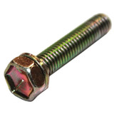 BRIGGS SCREW 690699 Briggs & Stratton Engine Parts (BS-690699)