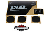 790459 Label Kit Briggs & Stratton Engine Parts (BS-790459)