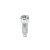 BRIGGS SCREW 698941 Briggs & Stratton Engine Parts (BS-698941)