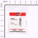 BRIGGS KIT-NEEDLE/SEAT 394682 Briggs & Stratton Engine Parts (BS-394682)