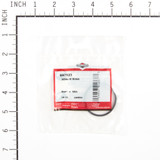 SEAL-O RING (BS-697123)