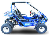 TrailMaster 300E XRS (EFI) Dune Buggy Go Kart, Liquid Cooled, Chain Drive