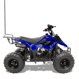 TrailMaster Mini Sport ATV 110, Gas Engine with Remote Start/Kill, Speed Governor, 6-inch Wheels