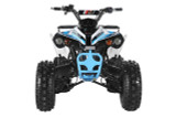 TrailMaster C125 125cc Sport ATV, Automatic with Reverse, 8-inch Wheels, Ages 9-12