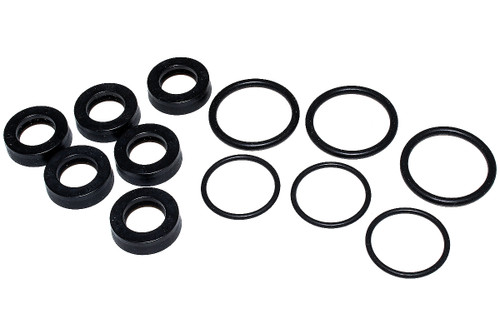 kit guarnizioni pompanti bravo AR (Annovi Reverberi) North America Pump (AR-15579)