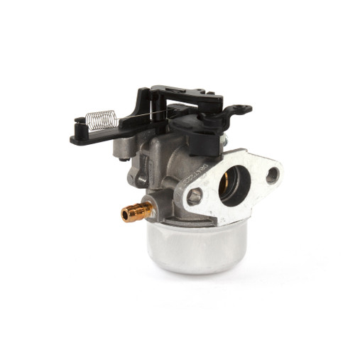 596855 CARBURETOR (BS-596855-D1)