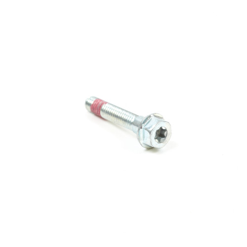 699484 SCREW (BS-699484)
