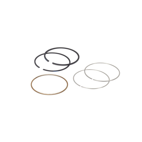 BRIGGS RING SET 795690 Briggs & Stratton Engine Parts (BS-795690)