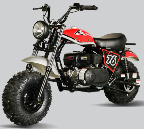 TrailMaster Hurricane 200X Mini Bike, 208cc 7.5 HP with Torque Converter, Dual Disc Brake, Front & Rear Suspension (RED) (TM-MB-200X)
