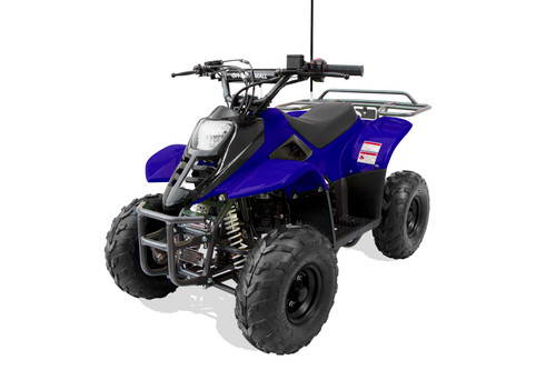 TrailMaster Mini Sport ATV 110, Gas Engine with Remote Start/Kill, Speed Governor, 6-inch Wheels
