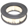 HOMELITE AIR FILTER (HOM-46687)