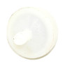 BRIGGS FILTER-FUEL, 75 MICRON (FOR ENGINES WITH FUEL PUMP) 394358 Briggs   Stratton Engine Parts, TAKEN OFF A NEW ENGINE (BS-394358S-D1)
