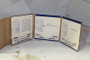 298451 Ring Set-Std Briggs & Stratton Engine Parts (BS-298451)