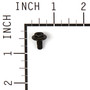 Muffler Guard Screw (BS-699854)