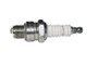 champion spark plug (CHM-811M-L82C)