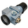  Devilbiss Air Products Accessories SCRATCH/DENT, MISSING FITTINGS AND GAUGE, DEVILBISS AC-200, Devilbiss Air Products (AIRREGULATOR-3)