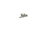 398670 VALVE/SPRING (USE 493765) Briggs & Stratton Engine Parts (BS-398670)