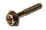 BRIGGS Alternator Screw Briggs & Stratton Engine Parts (BS-698516-D1)