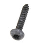 UP-04245 Thread Forming Screw Homelite Handheld Equipment Parts (HOM-UP04245)