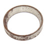 TAPERED ROLLER BEARING CUP (RUSTY) (SEW-L446104)