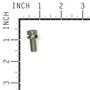 SCREW Briggs & Stratton Engine Parts (BS-691902)