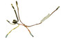 Wiring Diagram Conversion Kit Parts (GT17-WIRE-KA)