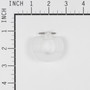 FLOAT-CARBURETOR (BS-699724)
