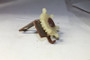 295063 Gear-Oil Slin Briggs & Stratton Engine Parts (BS-295063)