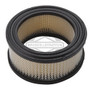 BRIGGS FILTER-A/C CARTRIDGE 392286; USES 270973 PRE FILTER Briggs & Stratton Engine Parts (BS-392286)