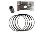 595053 PISTON ASSEMBLY (BS-595053)