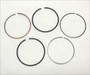 791787 Ring set Briggs & Stratton Engine Parts (BS-791787)