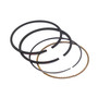 BRIGGS RING SET-STD 791969 Briggs & Stratton Engine Parts (BS-791969)