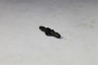 BRIGGS TUBE-VENT 794544 Briggs & Stratton Engine Parts