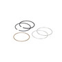 BRIGGS RING SET 795690 Briggs & Stratton Engine Parts (BS-795690)