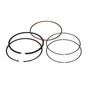 RING SET - STD Briggs & Stratton Engine Parts (BS-809972)