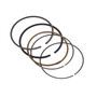 BRIGGS RING SET 843793 Briggs & Stratton Engine Parts (BS-843793)