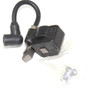 GM-16400-4 Module Homelite Handheld Equipment Parts (HOM-GM164004)
