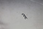 PIN, HAIR  .14D - .0 Murray Lawnmower Parts (MU-0031X5MA)