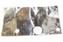 POLARIS PROTECTOR PAD. (POL-0450345)