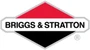 22hp Briggs & Stratton Intek Engine, Vertical 1"x3-5/32" Keyed Shaft, Fuel Pump, 9 Amp Alternator, Electric Start, Choke-a-matic, (44N677-0079)