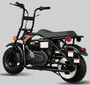 Trailmaster Storm (Motovox) 200 Minibike, 196cc 6.5hp, Disc Brake (BLACK) (TM-MB-STORM)