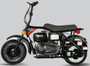 Trailmaster Storm (Motovox) 200 Minibike, 196cc 6.5hp, Disc Brake (BLACK) (TM-MB-STORM)