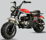 TrailMaster Hurricane 200X Mini Bike, 208cc 7.5 HP with Torque Converter, Dual Disc Brake, Front & Rear Suspension (RED) (TM-MB-200X)