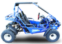 TrailMaster 300E XRS (EFI) Dune Buggy Go Kart, Liquid Cooled, Chain Drive