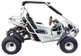 TrailMaster 300E XRS (EFI) Dune Buggy Go Kart, Liquid Cooled, Chain Drive