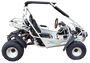 TrailMaster 300E XRS (EFI) Dune Buggy Go Kart, Liquid Cooled, Chain Drive