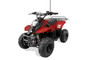 TrailMaster Mini Sport ATV 110, Gas Engine with Remote Start/Kill, Speed Governor, 6-inch Wheels